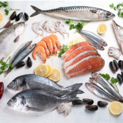 Formation Pro – Créativités culinaires : Les poissons et produits de la mer